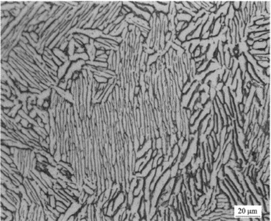 CT20低溫鈦合金  金相圖譜(圖2)